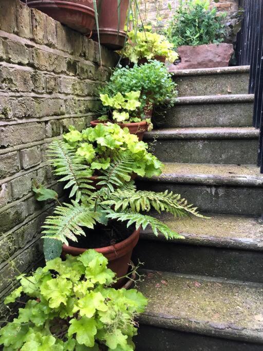 Villa Kings Cross, Self-Contained House & Private Garden Londres Exterior foto