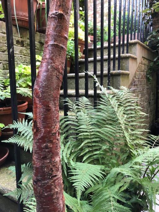Villa Kings Cross, Self-Contained House & Private Garden Londres Exterior foto
